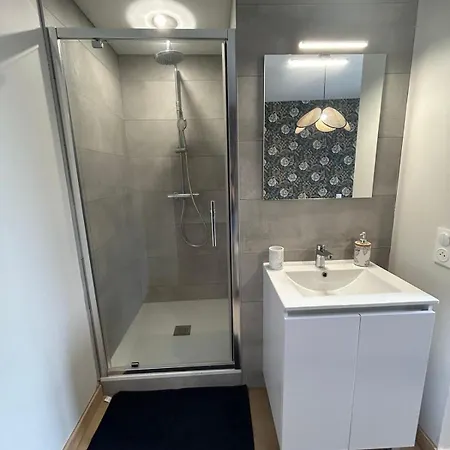 Le Belvedere - 9 Min Sanctuaires - 3 - 2 Salles De Bain - Terrasse & Vue Panoramique * לורדה